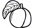 Peach 9