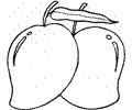Pear 20