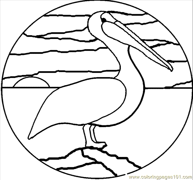 Coloring Pages Pelican5 (Birds > Pelican ) - free printable coloring ...