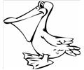 Pellicantoprint