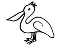 Pelican Outline