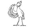 Shoe Le Pelican