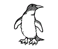 Penguin Coloring Page 09