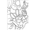 Peter Cottontail 12