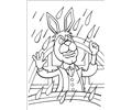 Peter Cottontail 14
