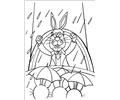Peter Cottontail 15