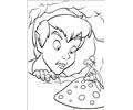 Peter Pan 25