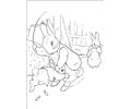 Peter Rabbit19
