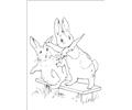 Peter Rabbit23