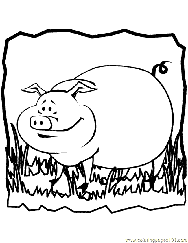 Year of the pig coloring pages
