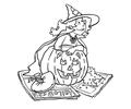 Witchcleaningpumpkin Big