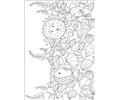Rainbow Fish001 (12)