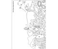 Rainbow Fish 08