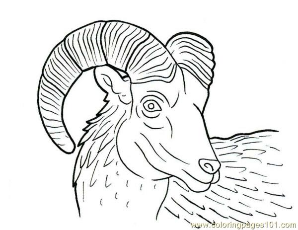 Coloring Pages Ram horn (Animals > Ram) - free printable coloring page ...