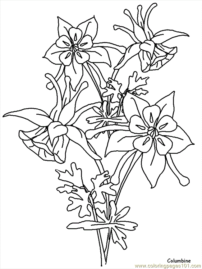 Coloring Pages Realistic Flowers (Cartoons > Realistic Flowers) - free