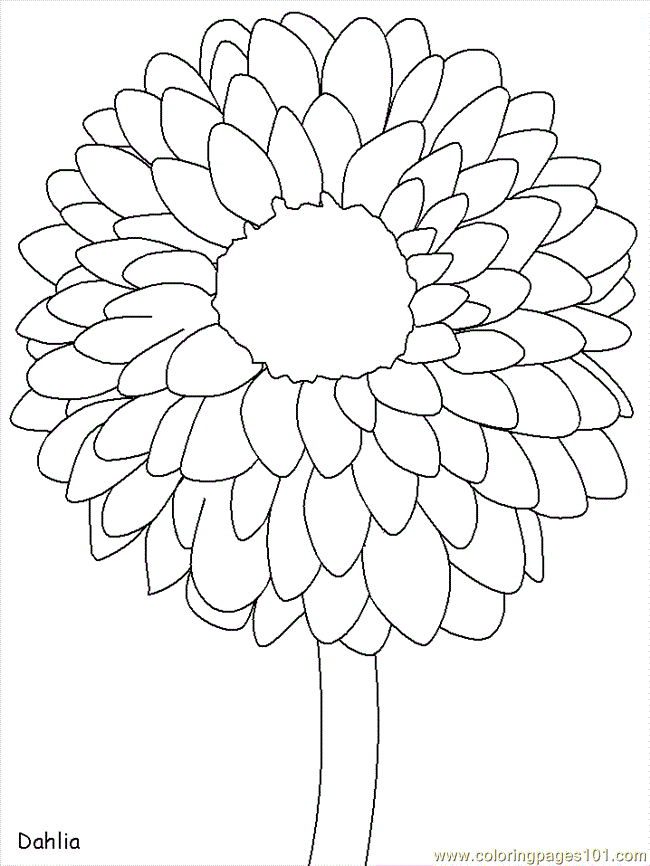 Coloring Pages Realistic Flowers (Cartoons > Realistic Flowers) - free