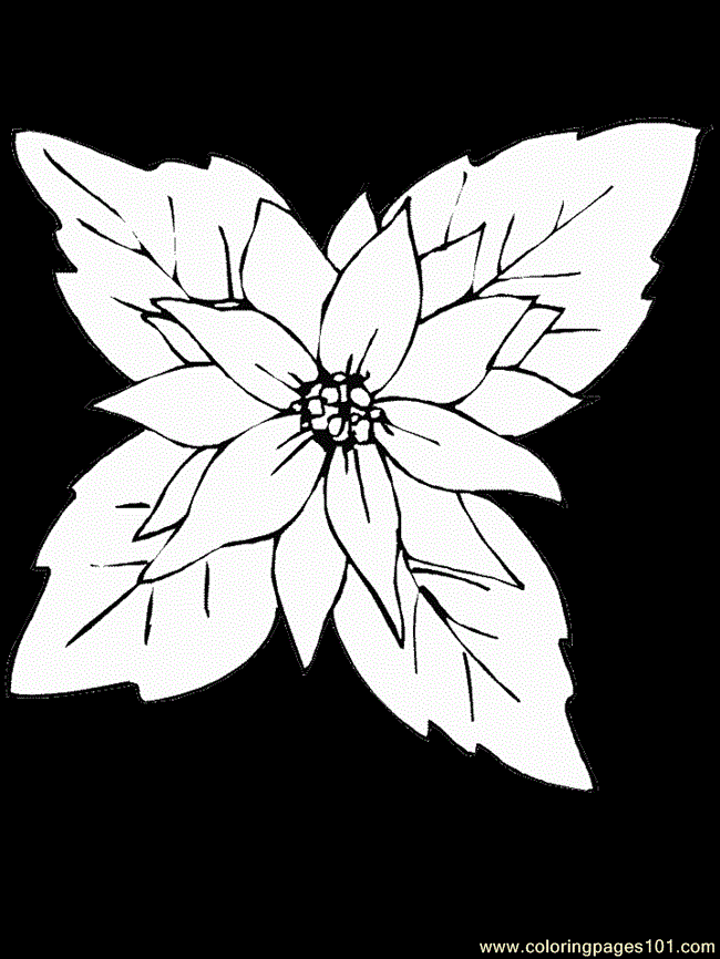 Coloring Pages Realistic Flowers (Cartoons > Realistic Flowers) - free
