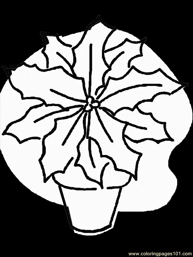 Coloring Pages Realistic Flowers (Cartoons > Realistic Flowers) - free ...