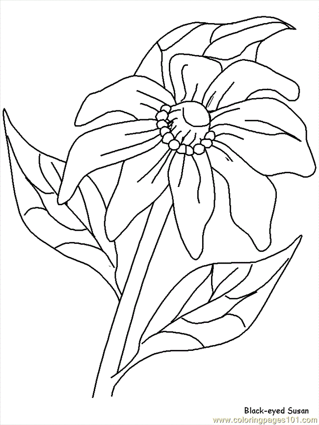 Coloring Pages Realistic Flowers (Cartoons > Realistic Flowers) - free ...