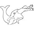 Story Of Jonah And Whale
