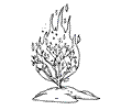 Igious Items Coloring Page 02