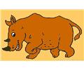 Rhinoceros 017