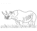 Rhinoceros 04