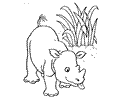 Rhinoceros 09