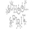 School Spirit