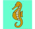 Sea Horse