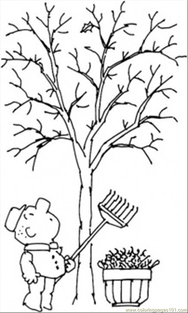Coloring Pages Tree In Fall (Natural World > Seasons) - free printable
