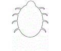 Shapes Coloring Pages 14