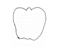 Shapes Coloring Pages 26