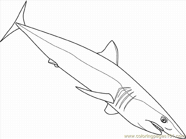 Coloring Pages Shortfin Mako Shark (Fish > Shark) - free printable