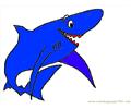 Sharks33