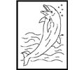 Dolphin Riding On Wave 1