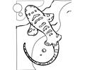 Zebra Shark Ink
