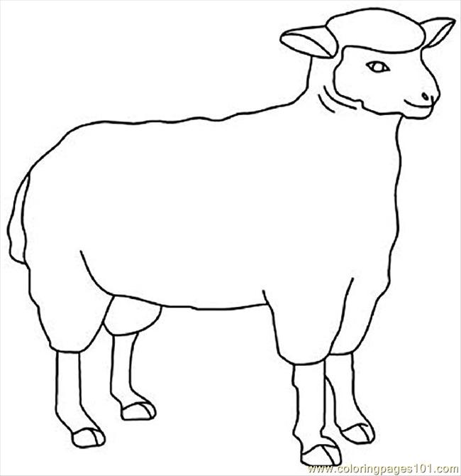 Coloring Pages Sheep13 (Animals > Sheeps) - free printable coloring page online