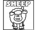 Farm Sheep Coloring 