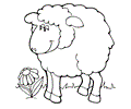 Sheep Coloring Page 11