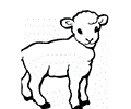 Sheep Coloring Page 13