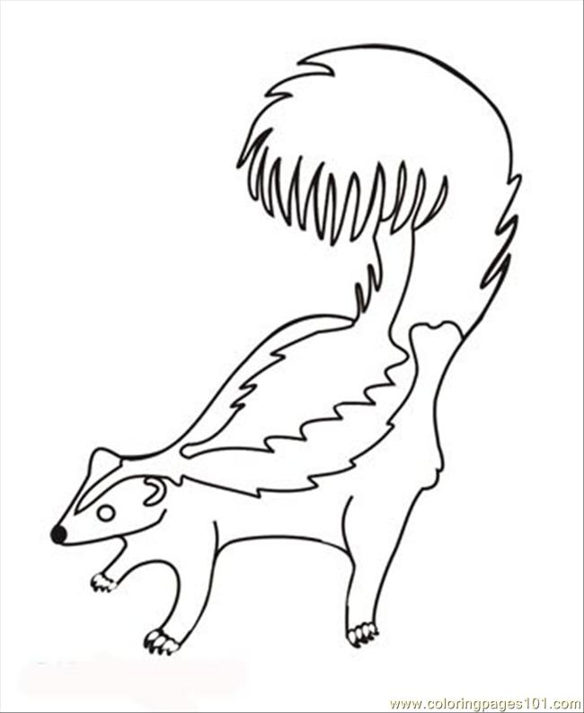 Coloring Pages Skunk (Animals > Skunks) - free printable coloring page