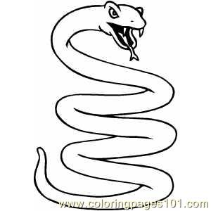 Snake Coloring Pages on Coloring Pages Coiled Snake  Snake    Free Printable Coloring Page