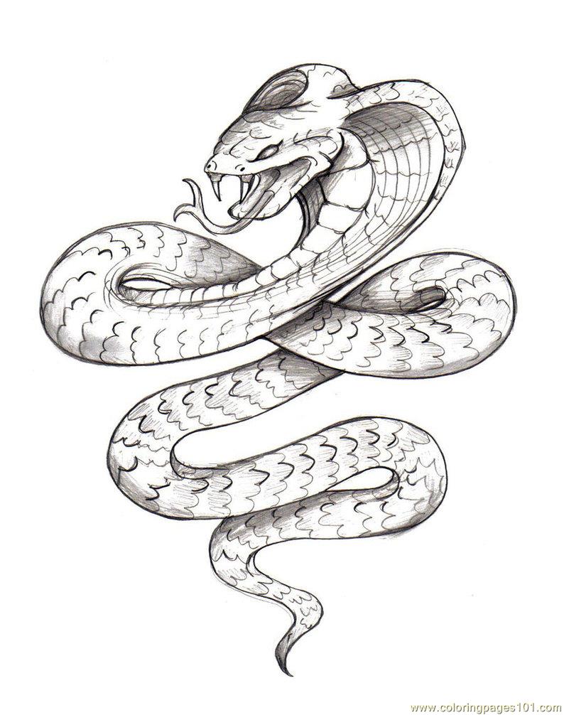Coloring Pages Snake 3 Reptile Snake Free Printable Coloring Page