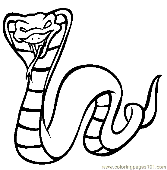 Coloring Pages King Cobra (Reptile > Snake) - free printable coloring