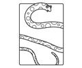 Spottedsnake1 399