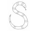 S Snake