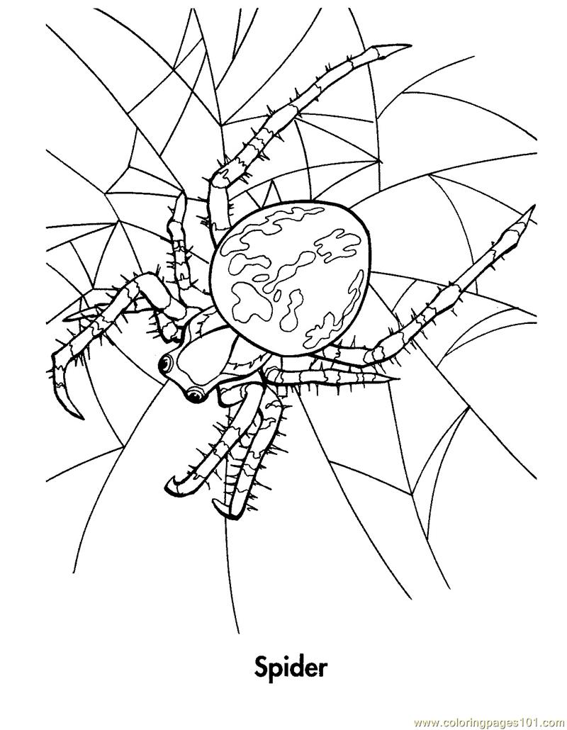 jailbird coloring pages - photo #45