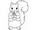 Squirrel Coloring 11