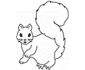 Squirrel Coloring 9